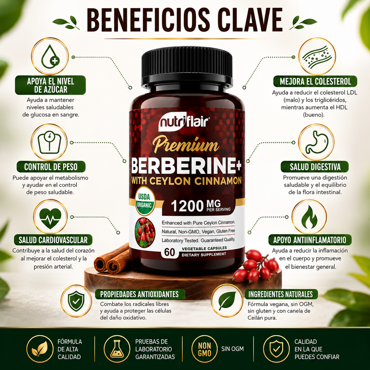 🌿 BerbeVital™ Tu bienestar, un hábito a la vez. 🌿
